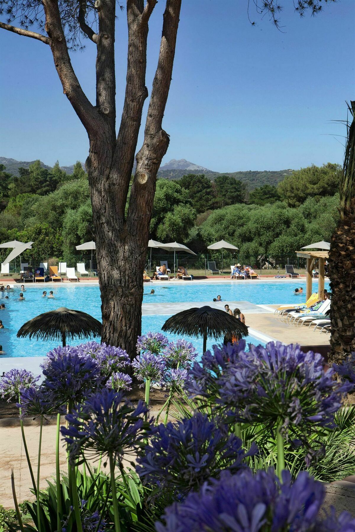 فندق Belambra Clubs Belgodere - Golfe De Lozari المظهر الخارجي الصورة